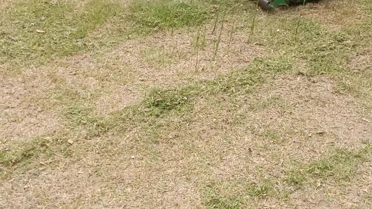 Transform Your Lawn with these simple grass cutting tips for a beautiful yard!