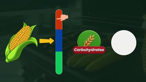 10 Vegetables Seniors MUST AVOID Hidden Health Dangers Revealed
