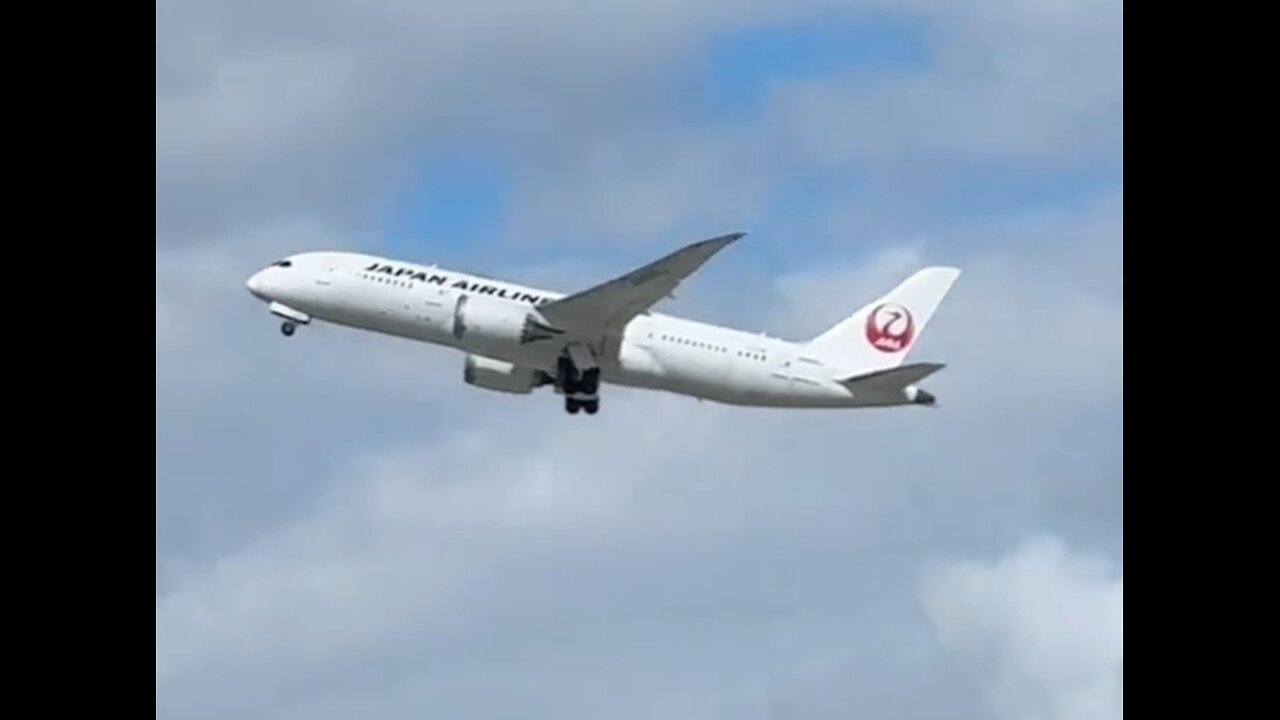 Japan Airlines Boeing 737-800 departing LAX