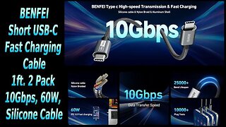 BENFEI USB-C Short 1ft. Cables