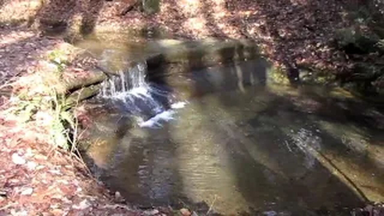 Conkles Hollow Rim Trail hocking hills ohio winter