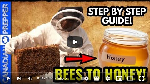 A Complete Beginners Guide to Beekeeping and Honey!