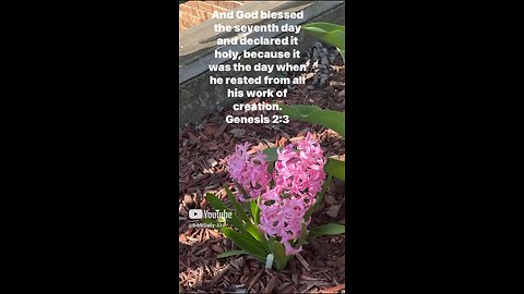 Genesis 2:3 daily Bible verse