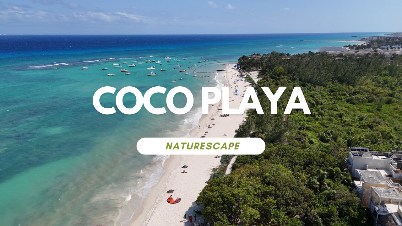 COCO BEACH - PLAYA DEL CARMEN - MEXICO - DRONE VIDEOGRAPHY