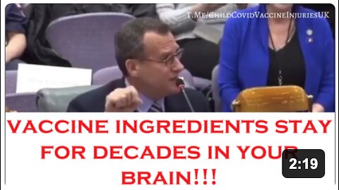 Aluminium Nanoparticles in Childhood Vaccines enter the Child’s Brain by Dr. Larry Palevsky