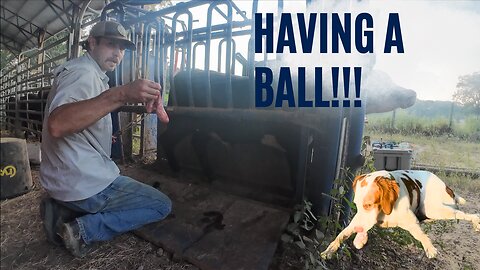 Having a ball!
