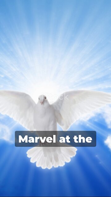 Gifts from the Holy Spirit