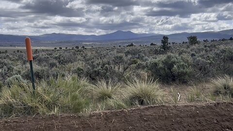 Buying Land