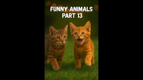 Funny animal videos 2026 - Funny cats/dogs - Funny animals - PART13