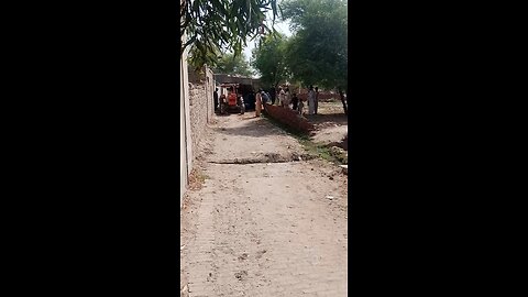 tractor trolley video