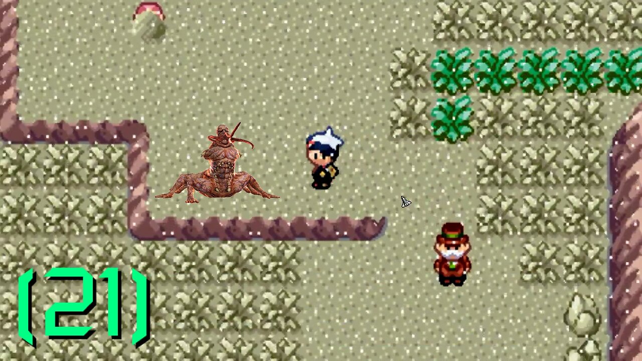 Pokémon Ruby - Walkthrough/Videonávod - 21 - [EN/CZ]