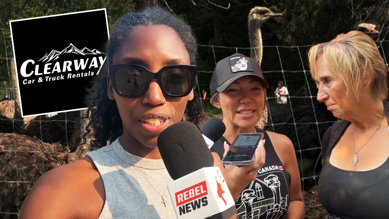 Miracle at Ostrich Farm: Rental Company Pulls Out of CFIA Cull Plan