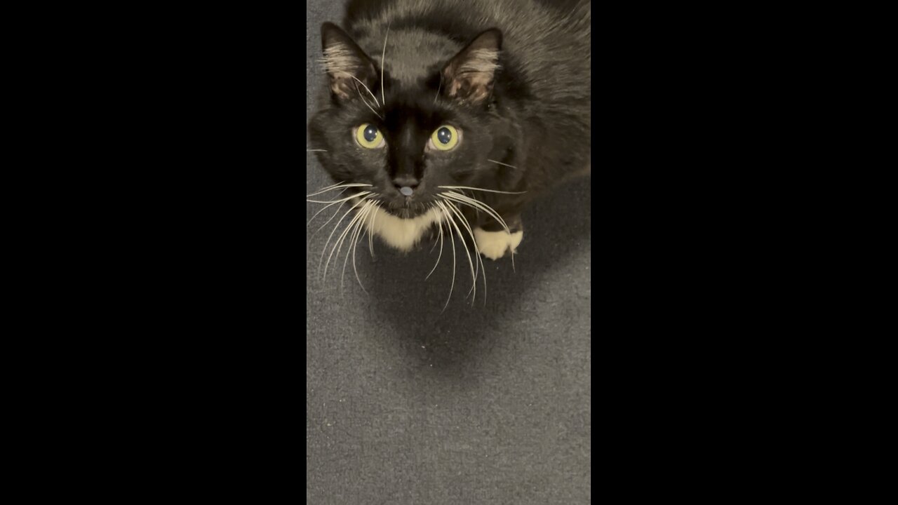 What’s on your nose?