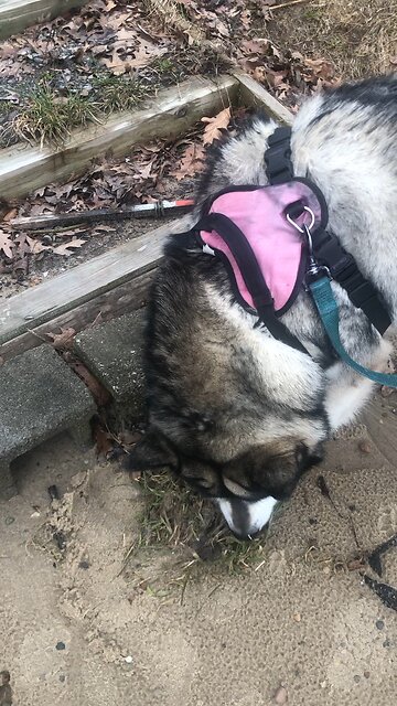 Good Friday April 18, He personally carried away our Sime personally carried away our sin.