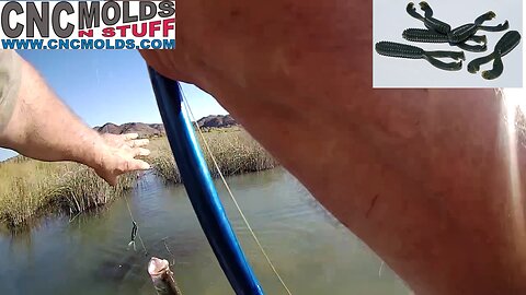 Not Much Time to Fish - 5 Minutes On The Water
