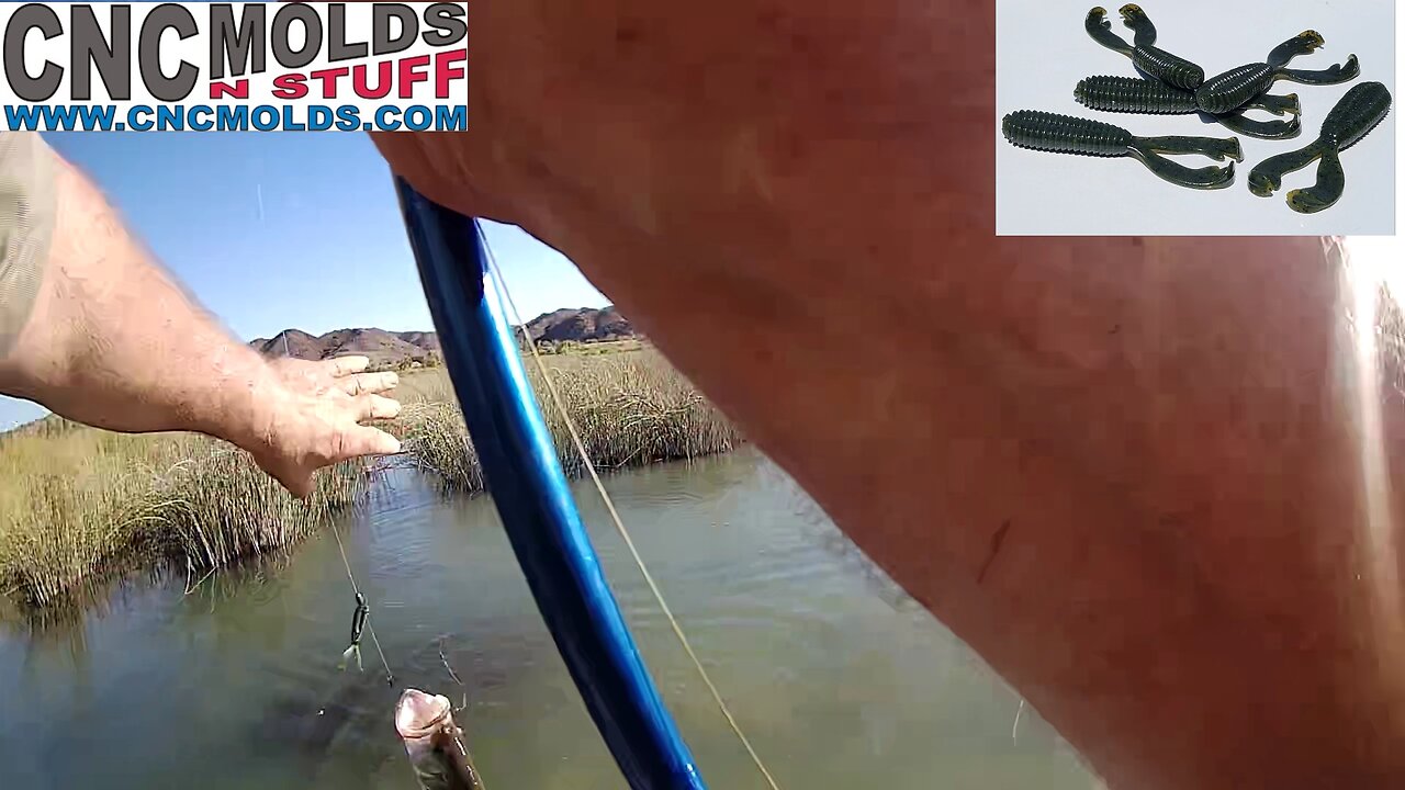Not Much Time to Fish - 5 Minutes On The Water