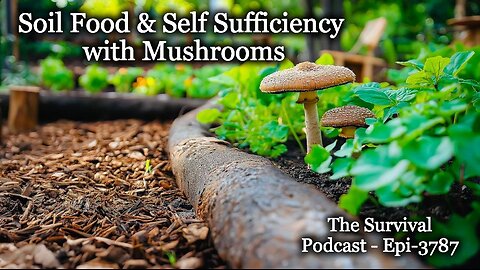 Building Soil, Food & Self-Sufficiency with Mushrooms - Epi-3787