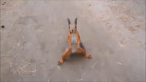 Funny short clip under 30 sec