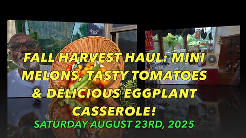 Fall Harvest Haul: Mini Melons, Tasty Tomatoes & Delicious Eggplant Casserole!
