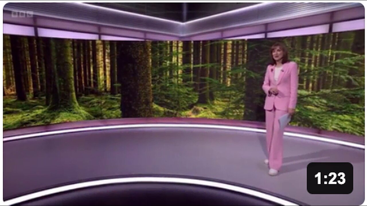 The BBC expects you to believe that forests are "losing their ability" to soak up carbon dioxide 🤡