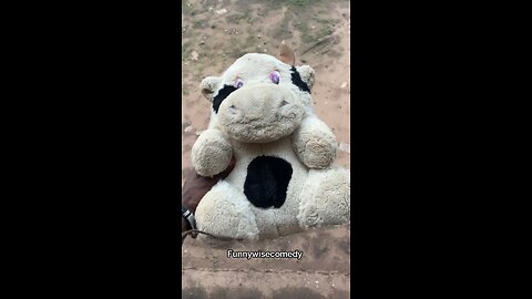 Labubu toy