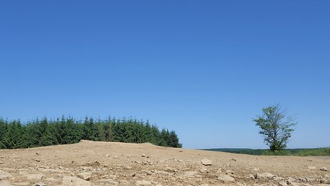 tall pines atv park