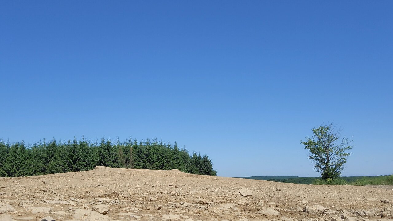 tall pines atv park