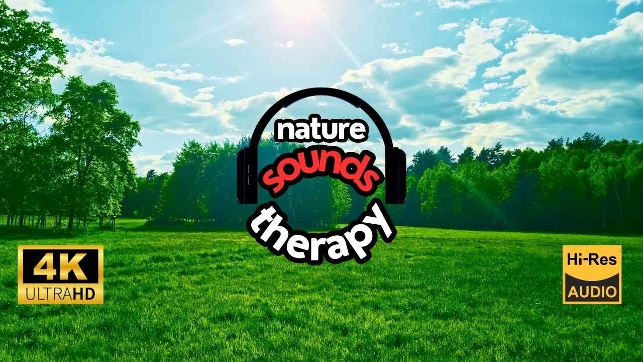 Listen to How the Meadow Sings! (Birds and Crickets)
