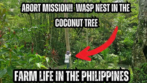 🌴 Harvesting Young Coconut for Buko Juice… But Then THIS Happened! 🐝