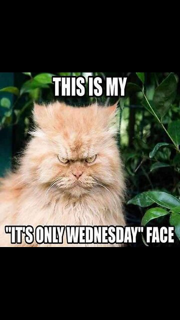 This didn't go well...