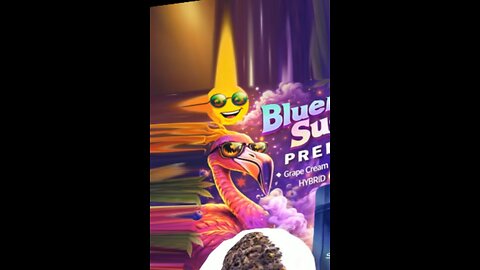 Blueberry Sugar Strain From Shop Hello Mary