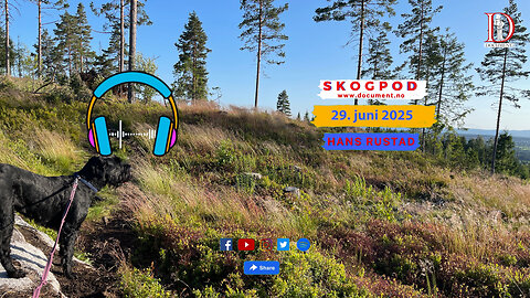 Skogpod 29. juni 2025