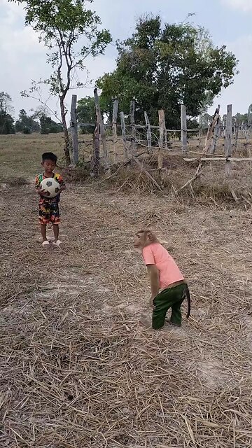 Lovely animal SokYaa, OG, Pao Mom Are Famous Around The World #shorts #anime #trend #edit