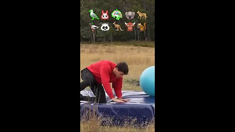 If animals did Parkour 😂