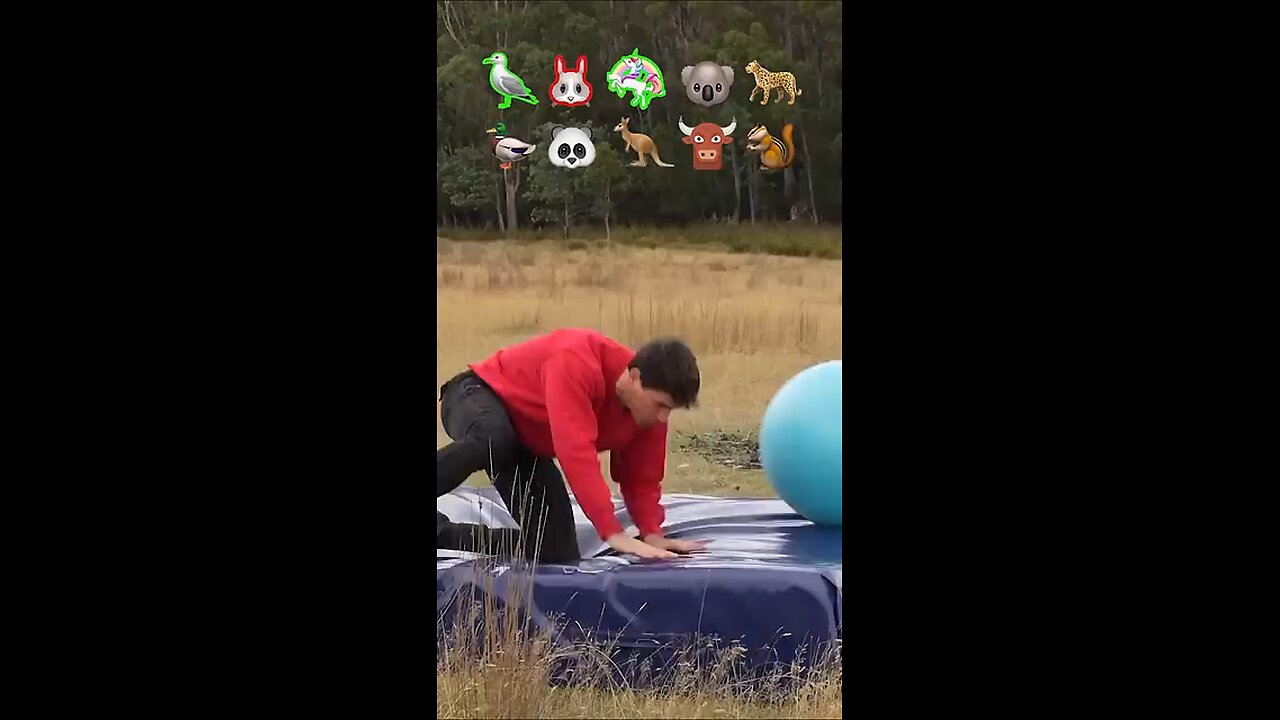 If animals did Parkour 😂