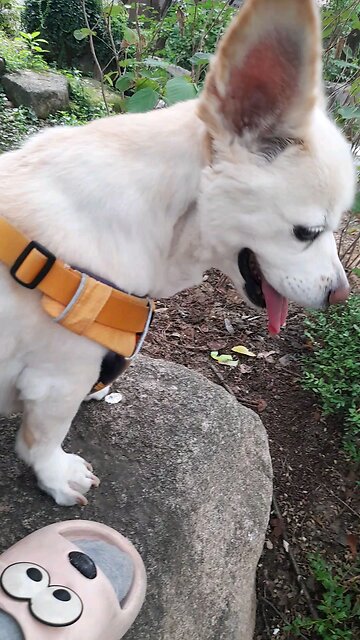 20250731. Holy Spirit.