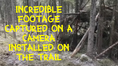A hunter caught a BIGFOOT on camera in Norden, Alberta, Canada!