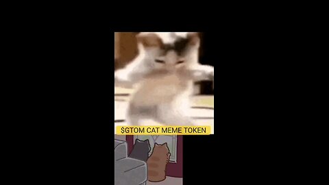 CAT DANCING | $GTOM CAT MEME TOKEN, JOIN US ON TELEGRAM, PLAY THE GAME, CLAIM 1 MILLION TOKENS