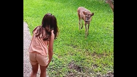 Bella feeding the Deer