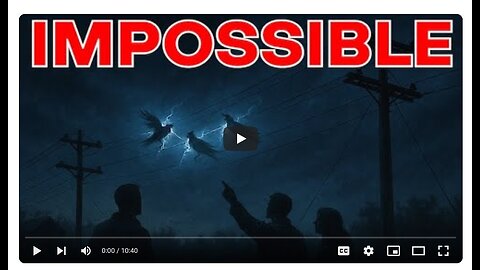 Mystery of the 'Exploding Birds' on Power Lines! Entire Neighborhood Horrified! - MrMBB333