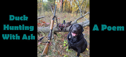 Duck Hunting With Ash: A Poem