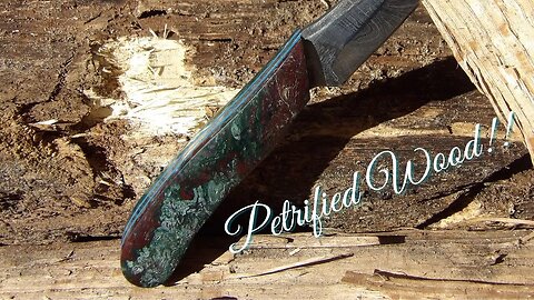 Petrified Wood Handle Knife!!! One of a kind.