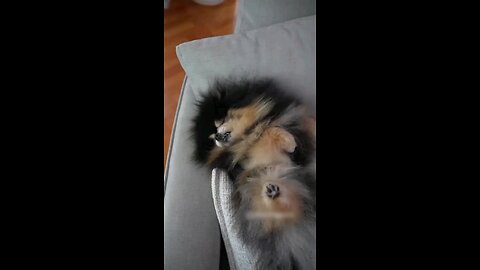 देखता हुआ तु कैसे सोता है