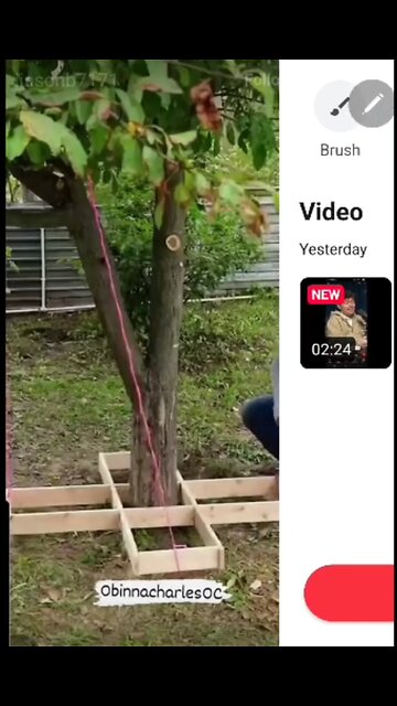 The Tunnell Take. When the money stops the "love" stops. Prostitution at its best. 🙄🙄