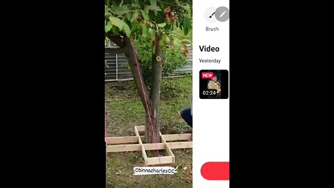 The Tunnell Take. When the money stops the "love" stops. Prostitution at its best. 🙄🙄