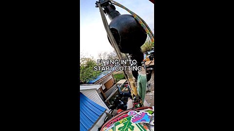 Crane Drops Climbers Onto Crushed Roof | Giant Elm Removal