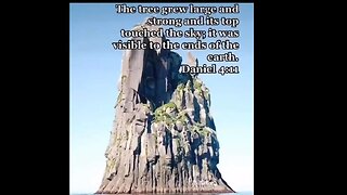 How big were trees really?!?