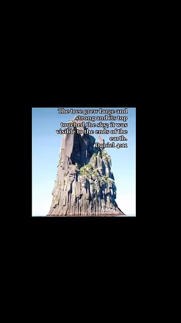 How big were trees really?!?