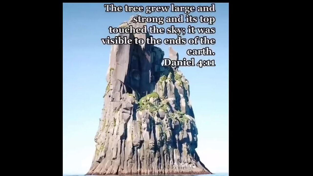How big were trees really?!?