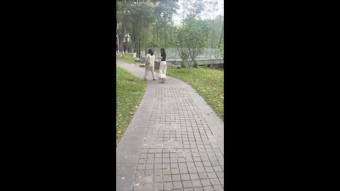 Dog and girls funny video
